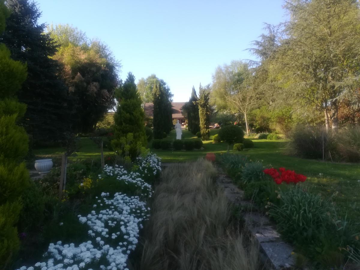 La Renaudiere En Bourgogne Gergy Екстер'єр фото